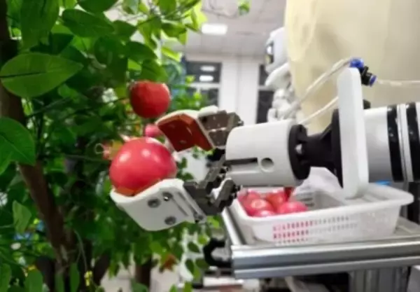 「双子」ロボットが平均7．5秒でリンゴ1個を収穫―中国