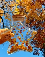 星の落ち葉ボトルに魔法使いの帽子、北京で初冬の落ち葉アートが話題に―中国