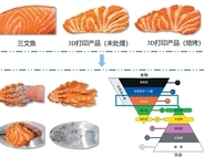 プリントされた「サーモン」、おいしくなる調理法とは？―中国メディア