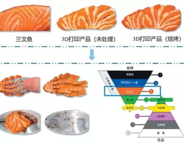 プリントされた「サーモン」、おいしくなる調理法とは？―中国メディア