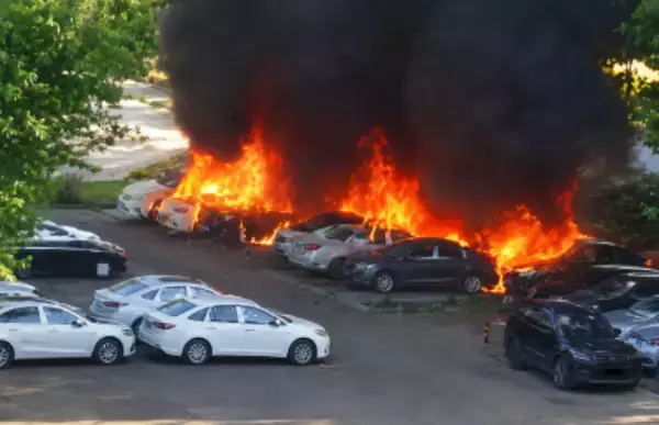 「散歩の邪魔」お年寄りが道路脇の大量のポプラの綿毛に火を付ける、強風で車20台に延焼―中国