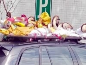 屋根にガチョウなど家禽計21羽を乗せて帰省先から戻るBMW車が目撃される―中国