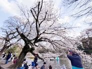 日本旅行が特別でなくなったと感じる理由―台湾メディア