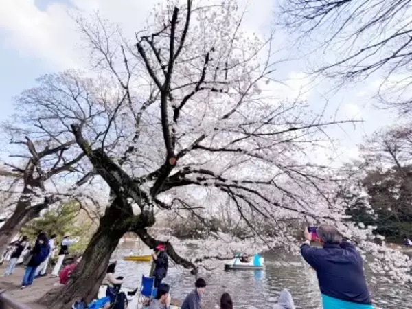 日本旅行が特別でなくなったと感じる理由―台湾メディア