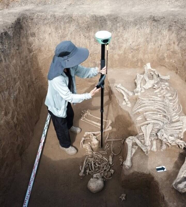 重要な考古資料が出土、中ロ考古協力の新成果