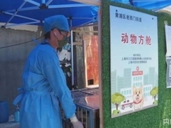 上海初の臨時ペット預かり施設、「出所」のピーク迎える