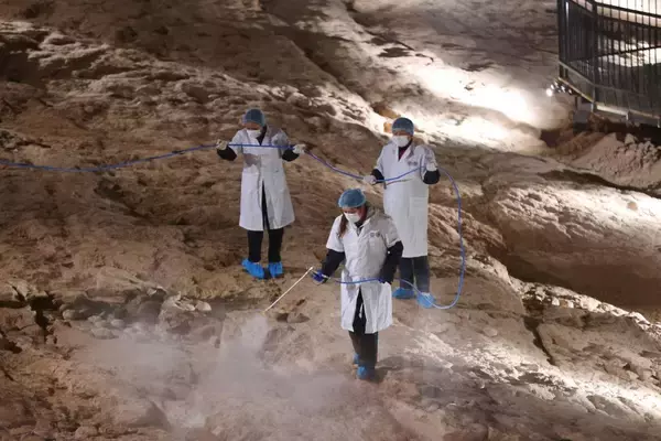 超大規模の恐竜卵化石群をナノコーティングで防護―中国