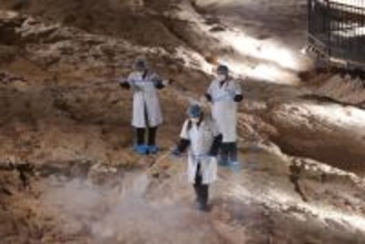 超大規模の恐竜卵化石群をナノコーティングで防護―中国