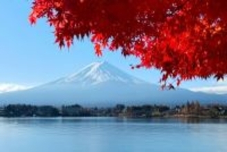 「どうして日本なんかに」と両親から電話、私が日本にとどまる理由―中国人女性