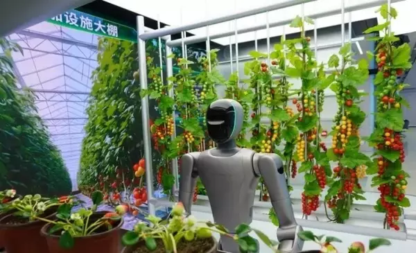 「河南省初の人型ロボット「4S店」が活況、利用者のハードル下げる―中国」の画像