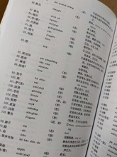 中国語はアフリカの未来の言語になるのか―独メディア