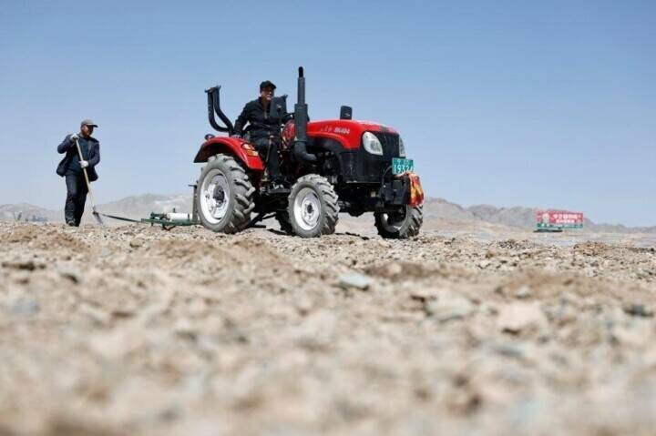 寧夏の砂漠地帯で「緑の宝石」の種まき始まる―中国