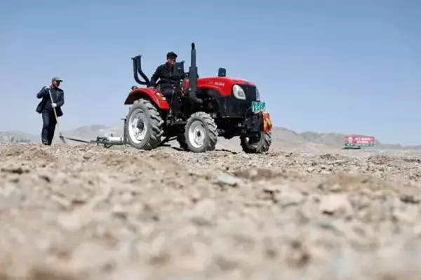 「寧夏の砂漠地帯で「緑の宝石」の種まき始まる―中国」の画像
