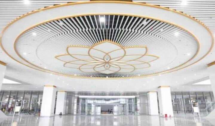 広東省の広州と仏山を最速18分で往来可能に、広湛高速鉄道の仏山駅が開業―中国