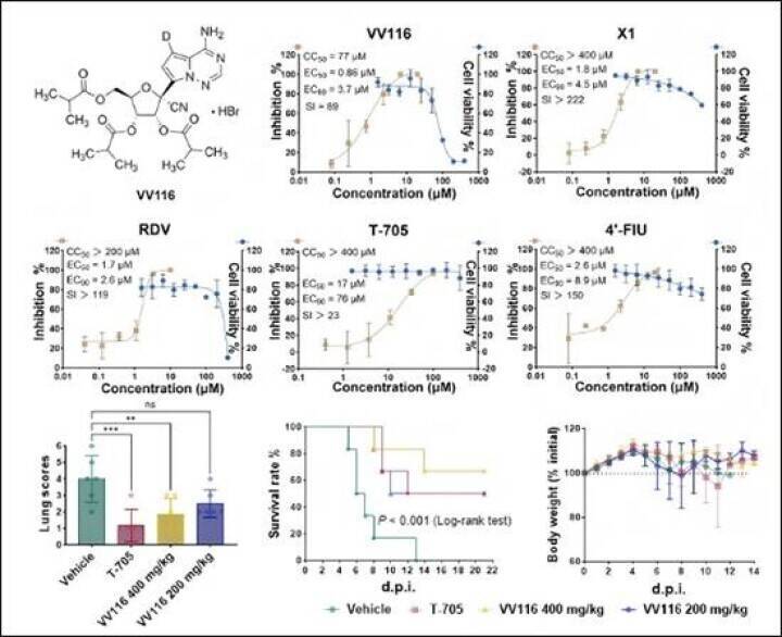 中国科学院武漢ウイルス研究所、ニパウイルスの有望な治療薬を発見