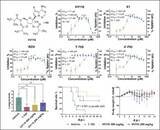 「中国科学院武漢ウイルス研究所、ニパウイルスの有望な治療薬を発見」の画像2