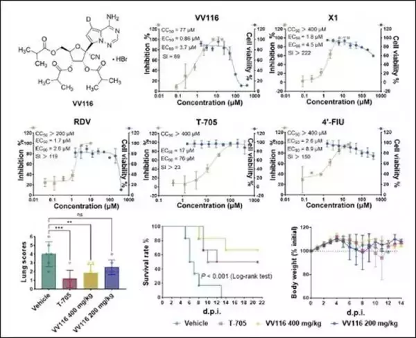 「中国科学院武漢ウイルス研究所、ニパウイルスの有望な治療薬を発見」の画像