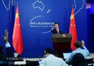 中米の新たなパンダ保護協力は両国国民の友情促進に貢献―中国外交部