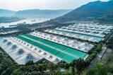 「重慶の汚水処理場、処理水を利用して発電―中国」の画像2
