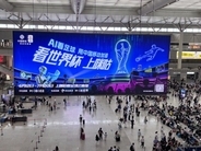 中国人はサッカーW杯をこれまでとは異なる方法で観戦している―米メディア