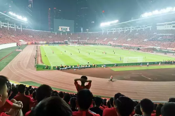 「2038年のサッカーW杯、広東・香港・マカオの粤港澳大湾区に招致も―中国メディア」の画像