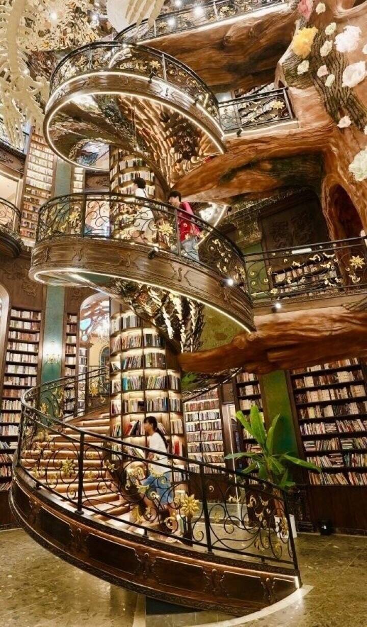 ファンタジーな図書館での特別な体験―江西省