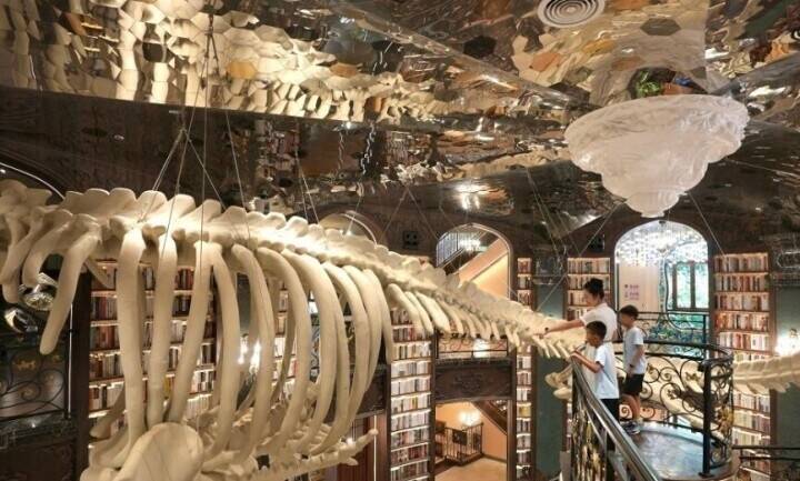 ファンタジーな図書館での特別な体験―江西省