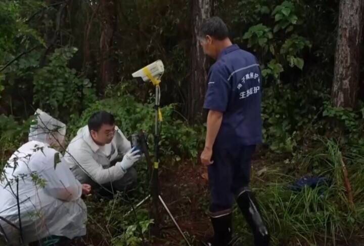安徽省涇県で野生ヨウスコウワニの巣穴46カ所・卵1084個を確認―中国