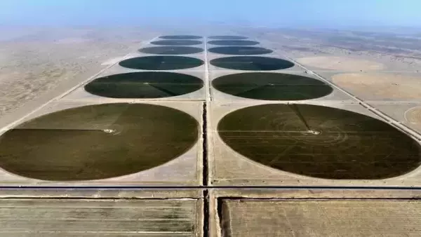 「新疆南部の砂漠に現れた「緑の円盤」」の画像