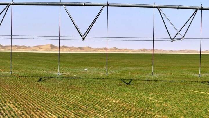 新疆南部の砂漠に現れた「緑の円盤」