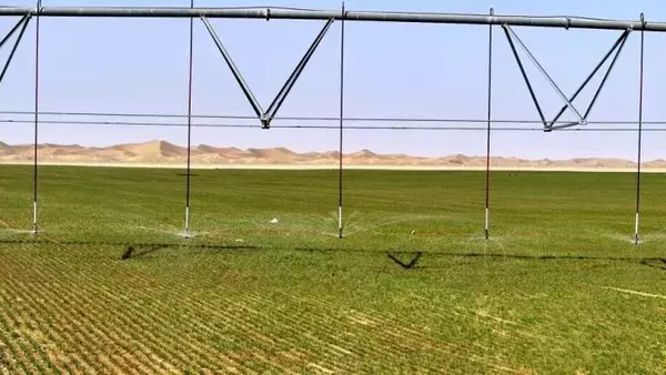 「新疆南部の砂漠に現れた「緑の円盤」」の画像