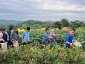 長江デルタ地域を走る鉄道が春休みと清明節期間の輸送開始、旅客2800万人の見込み―中国