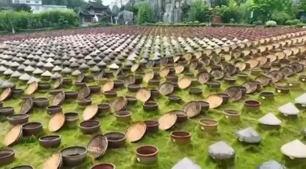 「メーデー連休は高コスパの小都市旅行が人気に―中国」の画像