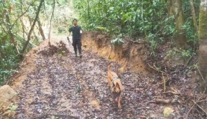 山奥で行方不明だった男児が13日後に無事救助―中国