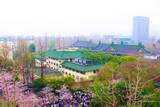 「武漢大学が一般市民の事前予約制を完全撤廃―中国」の画像1