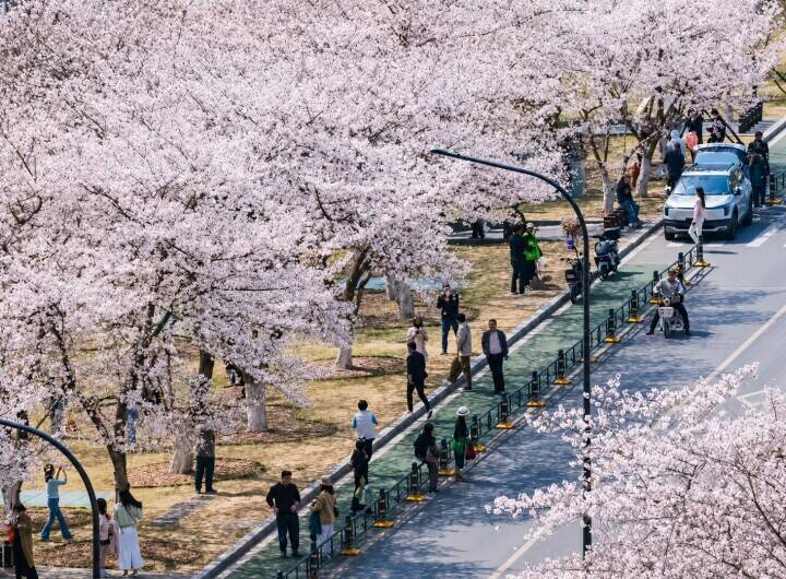 武漢大学が一般市民の事前予約制を完全撤廃―中国