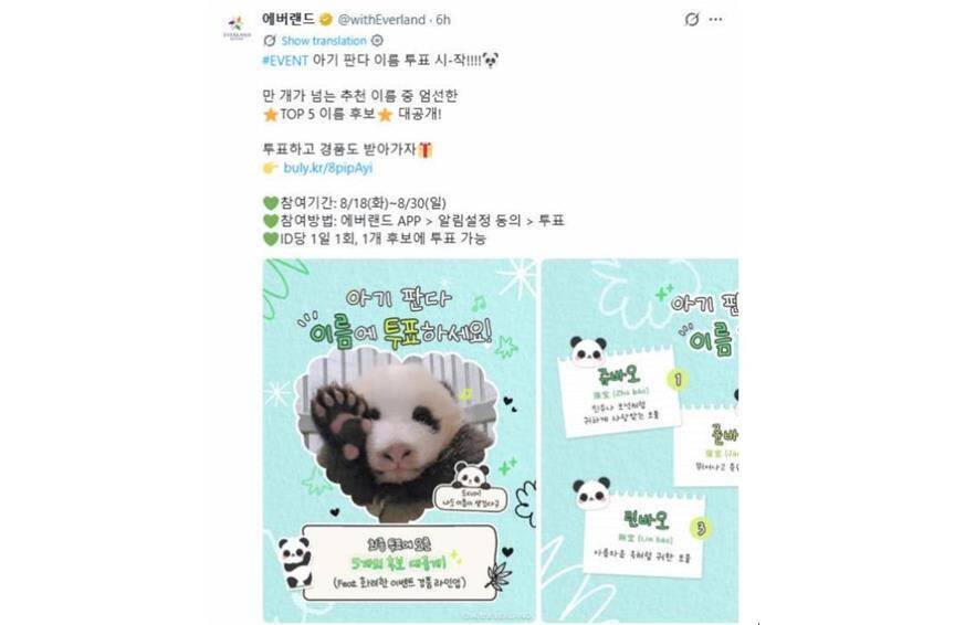 韓国エバーランド、赤ちゃんパンダの名前を5候補から選ぶ一般投票を開始