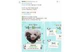 「韓国エバーランド、赤ちゃんパンダの名前を5候補から選ぶ一般投票を開始」の画像2