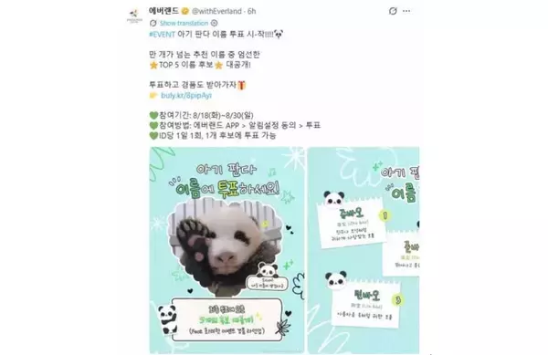 「韓国エバーランド、赤ちゃんパンダの名前を5候補から選ぶ一般投票を開始」の画像