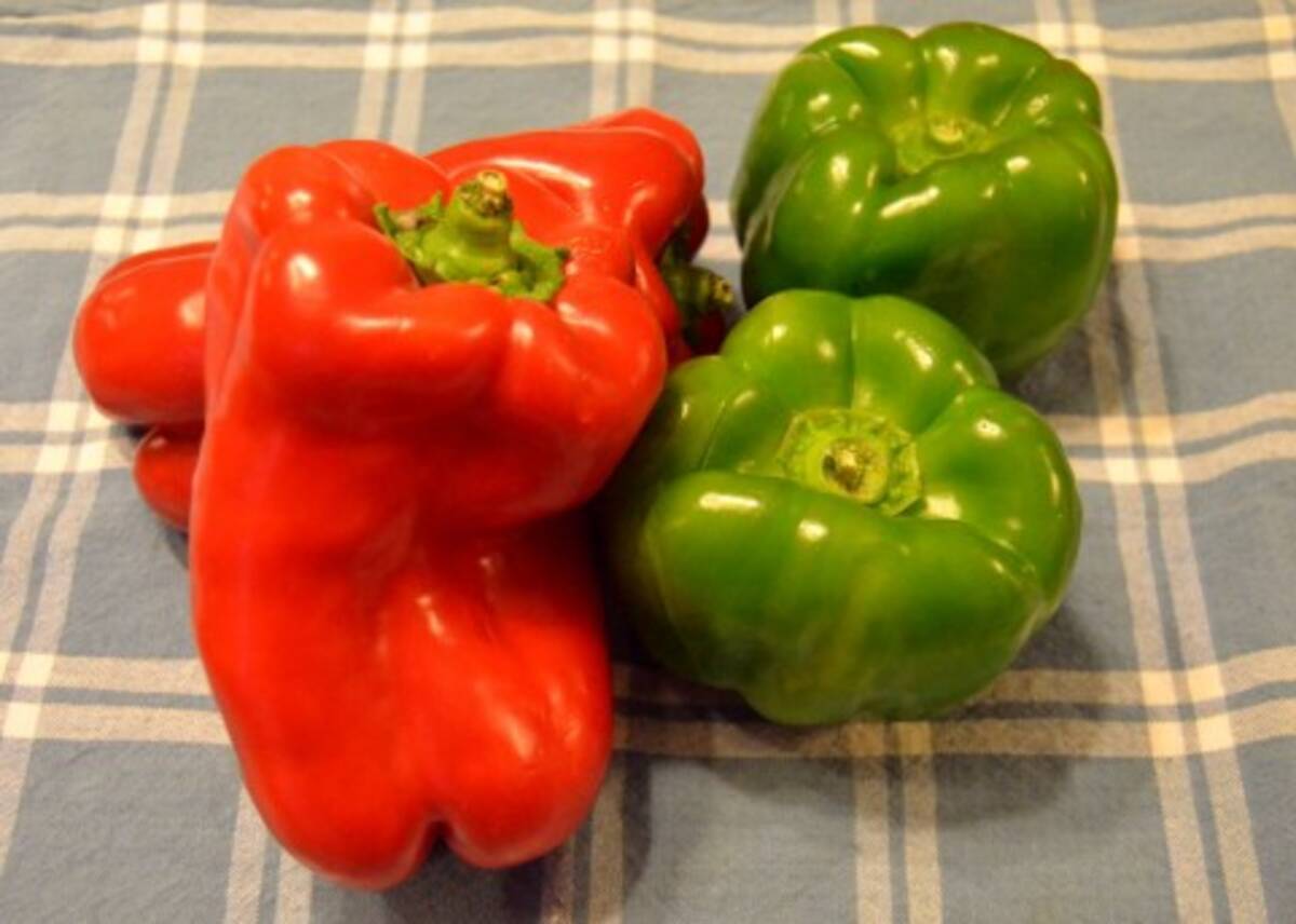 食べ物の好き嫌いが激しい子どもに効果的なしつけ2パターン 13年4月6日 エキサイトニュース