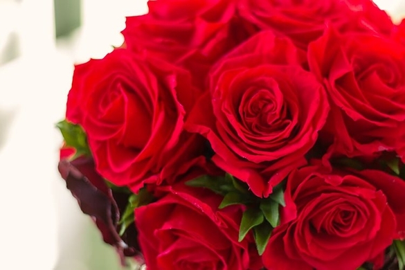 12月12日は ダズンローズデー というロマンチックな記念日 恋人に12本のバラをプレゼントする日なんだよ 15年12月12日 エキサイトニュース