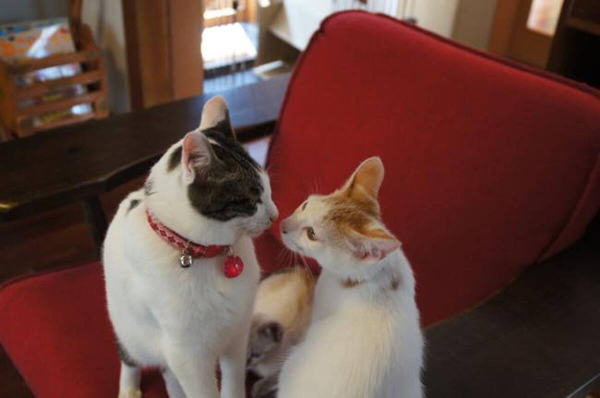 再び愛される日のために 失恋から立ち直る 悲しみのプロセス とは 15年9月28日 エキサイトニュース