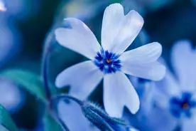 スッキリの裏に罠 恋人と別れた時に 失恋ソング を歌う効果と注意点 15年10月3日 エキサイトニュース