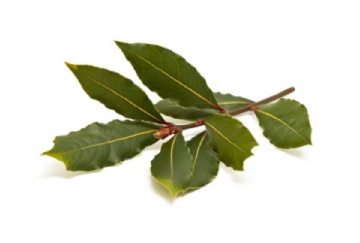 キスでうつる 口内炎を早く治す方法 12年4月19日 エキサイトニュース