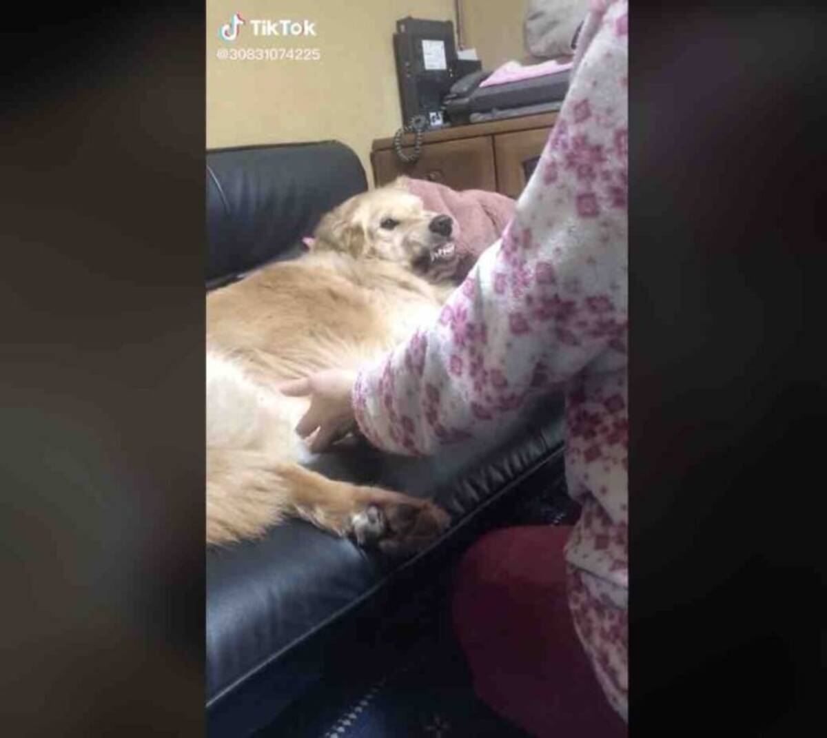 えっ 行き先が病院と気付いたゴールデン 笑顔からのショボン顔の差が激しすぎた 犬動画 22年9月6日 エキサイトニュース えっ 行き先が病院と気付いたゴールデン 笑顔からのショボン顔の差が激しすぎた 犬動画 22年9月6日 エキサイトニュース