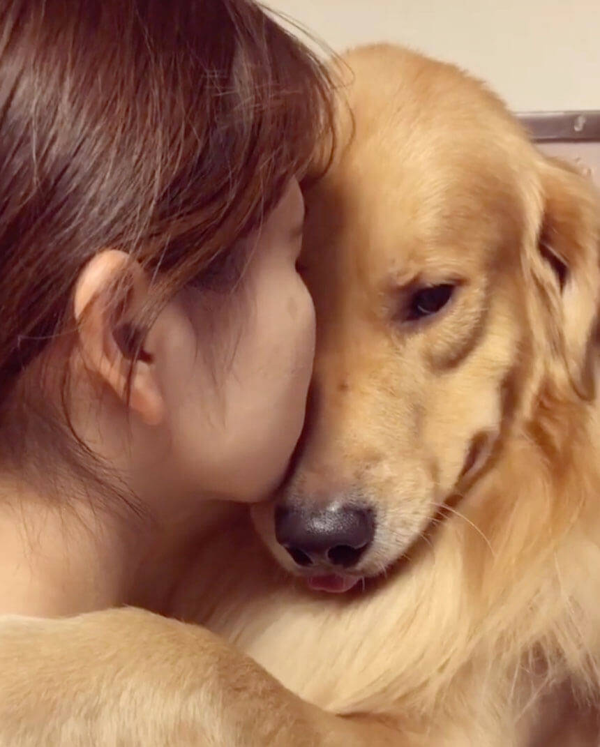 飼い主にしか見せない超甘えん坊な姿のゴールデン どうしたって母性が崩壊するし頬がゆるむ 最高だ 動画 年1月7日 エキサイトニュース