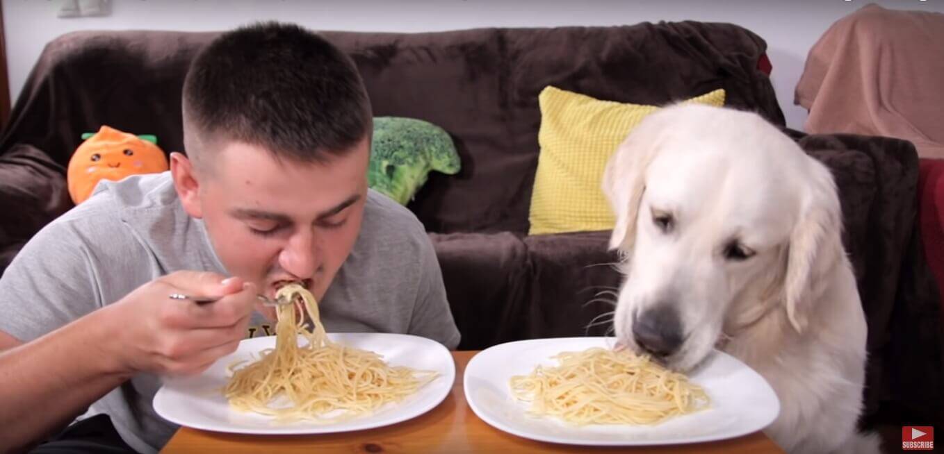 スパゲティの早食い ゴールデン無敵説 もはや犬ですら 挑むことは野暮なのかもしれない 動画2本 年1月23日 エキサイトニュース