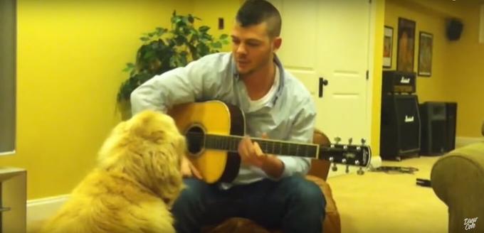 犬の名ドラマー 飼い主のギターに合わせて笑顔で演奏 年12月11日 エキサイトニュース