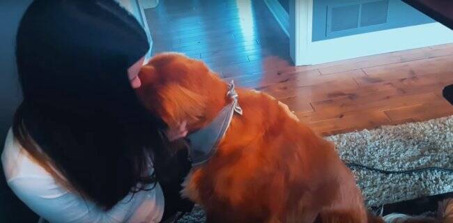 ワンちゃんが見せる 好きな人への態度 と 嫌いな人への態度 飼い方 Dogpad ドッグパッド