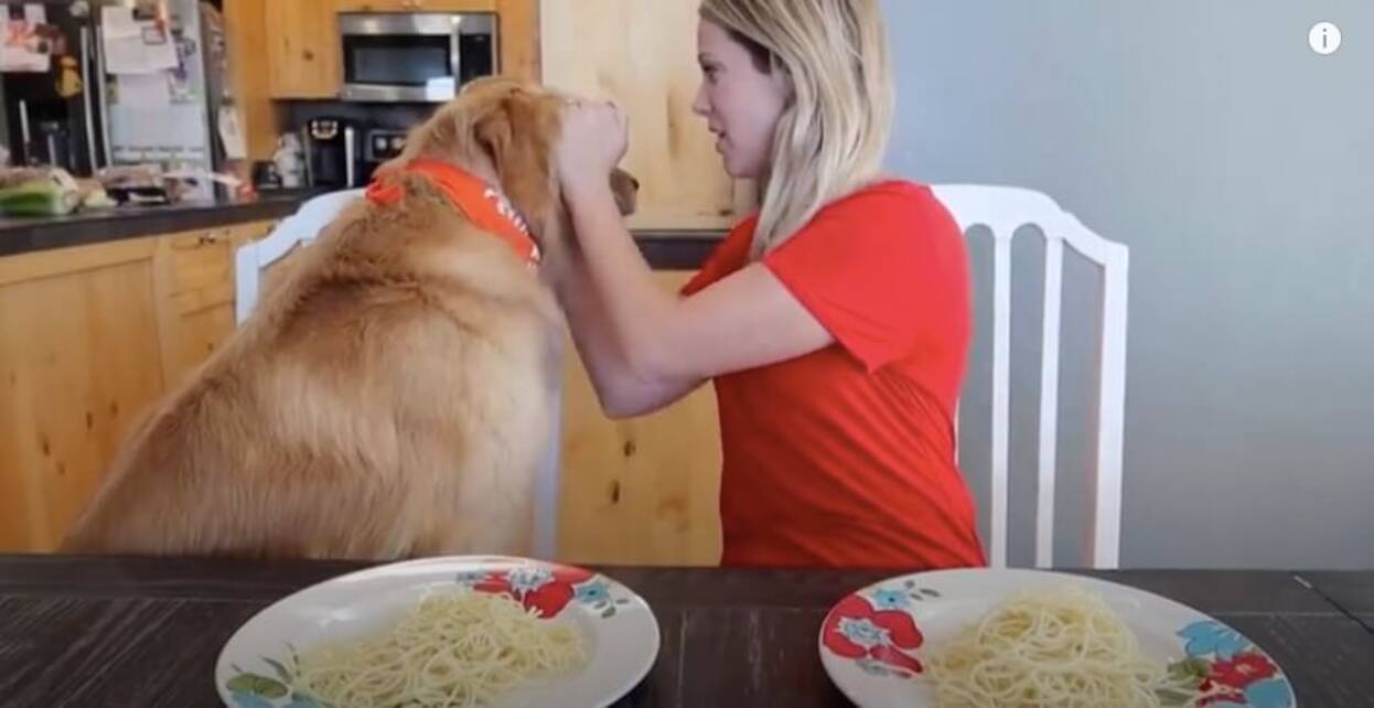 ゴールデンと早食い競争したら 飼い主の分まで奪い 口にくわえたままスッと逃走していった 動画 年4月18日 エキサイトニュース